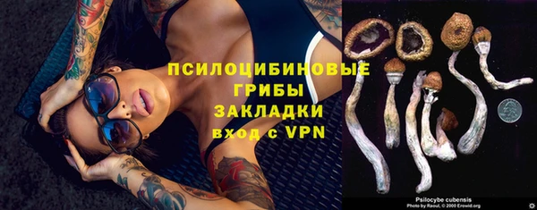 гидра Волосово